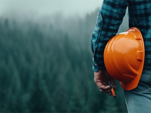 7 trámites con la administración que un ingeniero forestal agilizará por ti