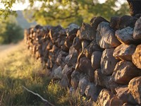 ¿Cómo un informe pericial gana una disputa de lindes?