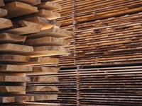 Cubicación de madera: ¿qué es?