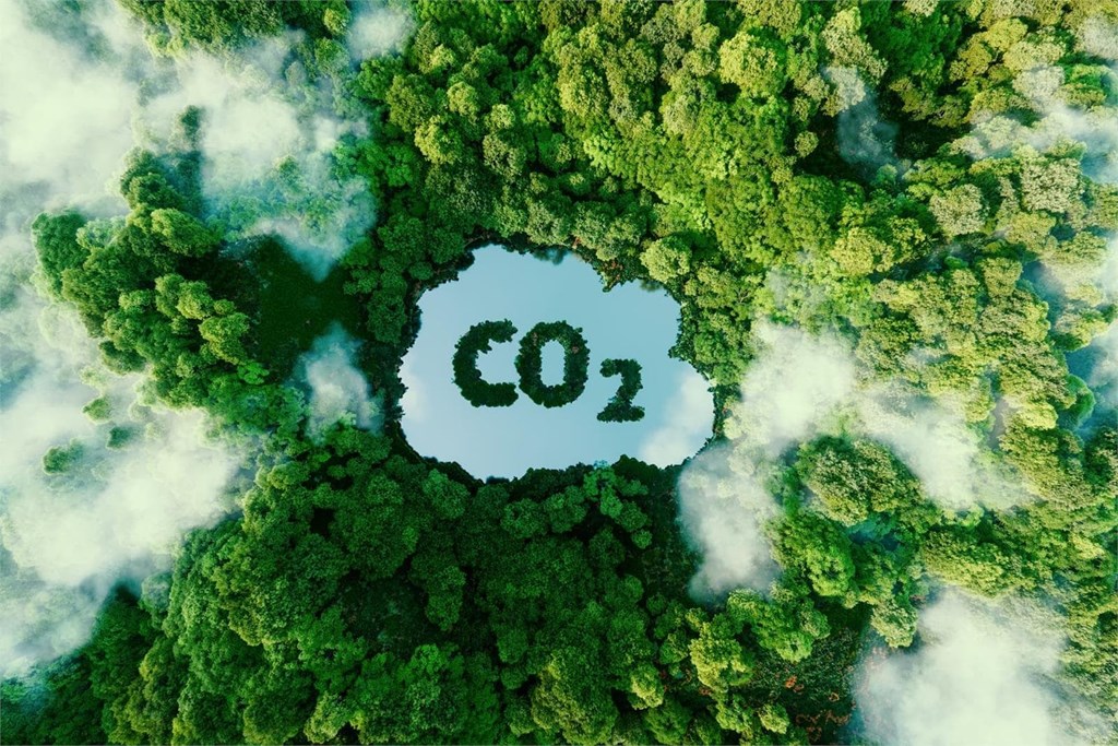 ¿En qué consisten los proyectos de absorción de CO2?