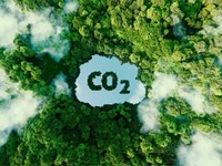 ¿En qué consisten los proyectos de absorción de CO2?