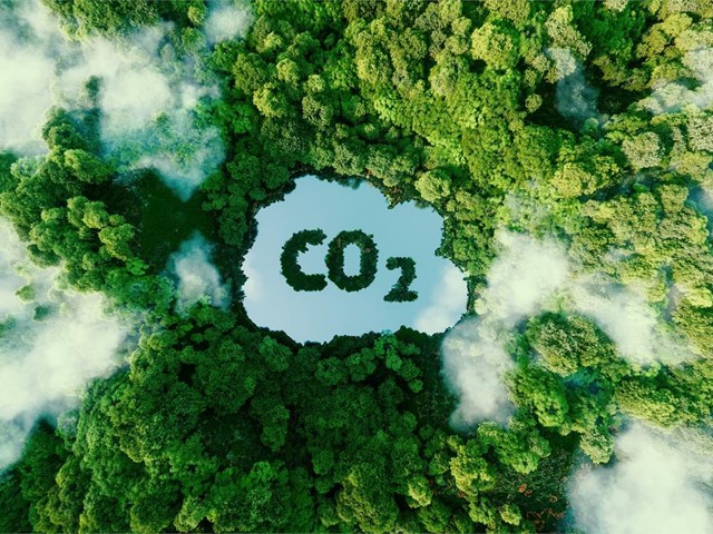 ¿En qué consisten los proyectos de absorción de CO2?
