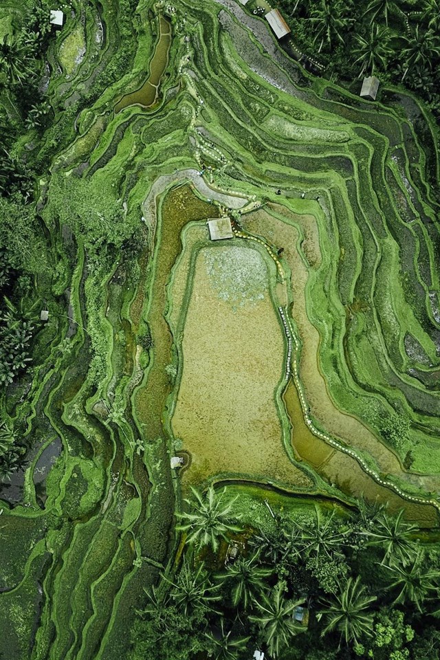  Especialistas en topografía en Lugo
