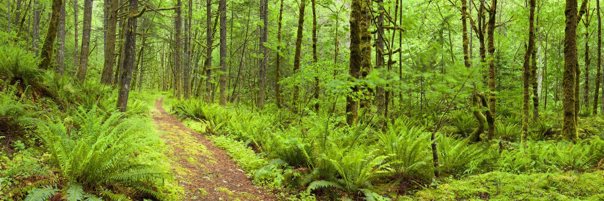 Da el primer paso para gestionar tu monte con garantías