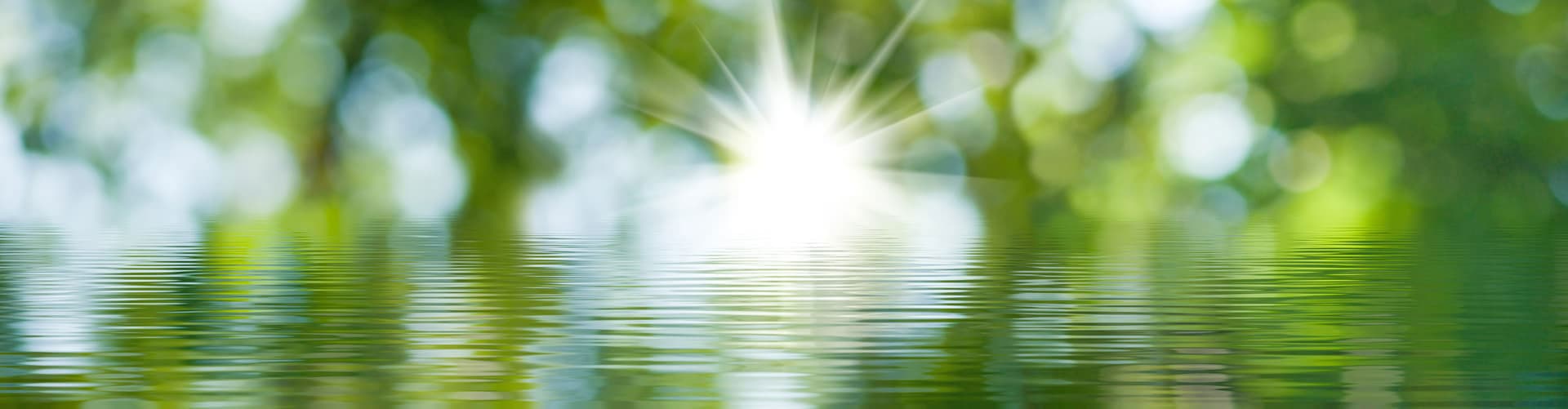 Genera valor económico con las toneladas de CO2 que absorbe tu monte