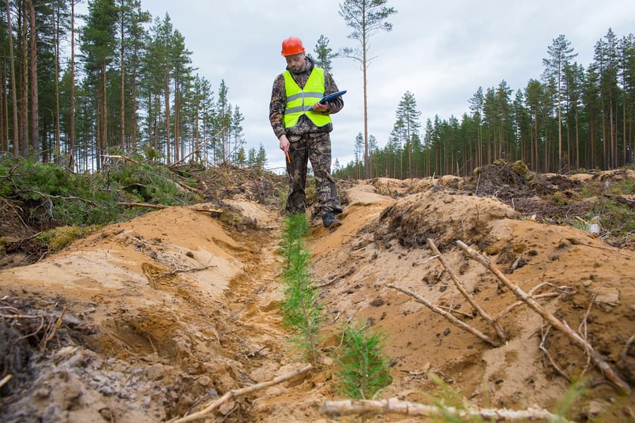 Tu equipo de ingeniería forestal en Lugo desde 2004