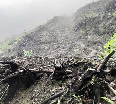 Forestal Lugo