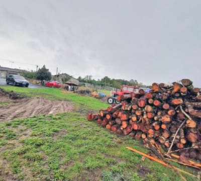 Forestal Lugo