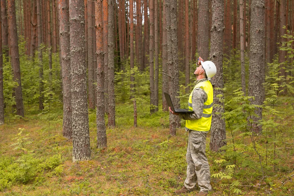 Ingeniería forestal en Lugo