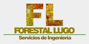 Forestal Lugo