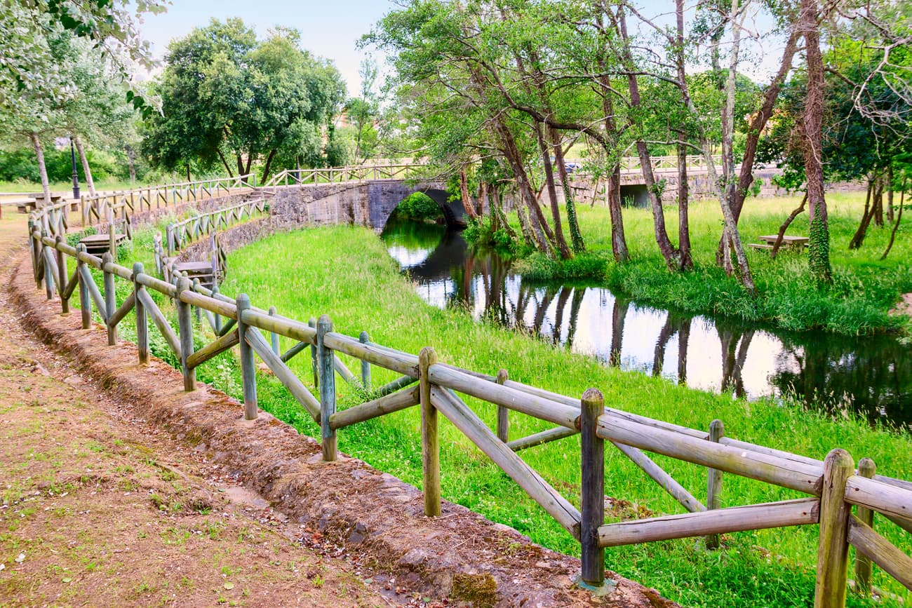 Restauración de espacios naturales y paisajismo