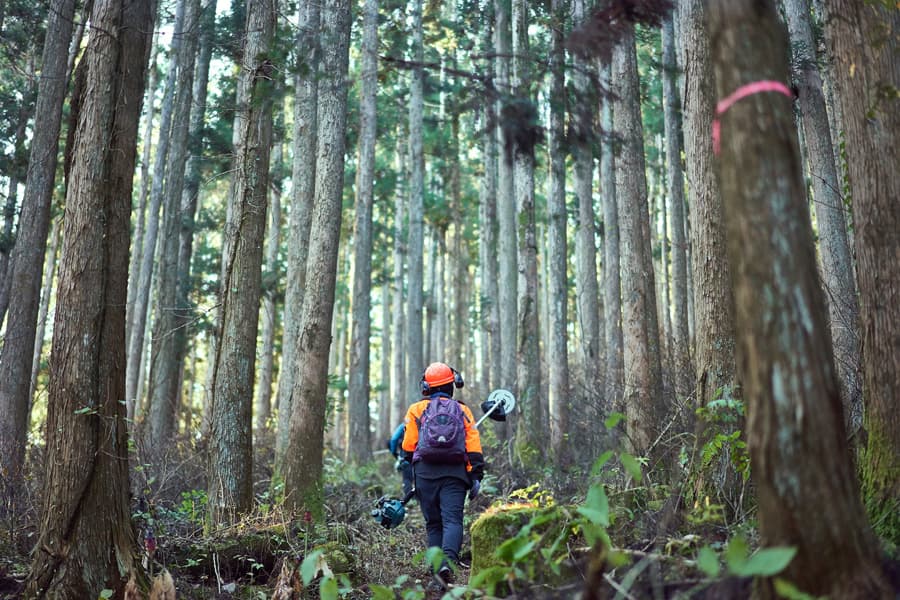 Restauramos todo tipo de espacios naturales gracias a la topografía