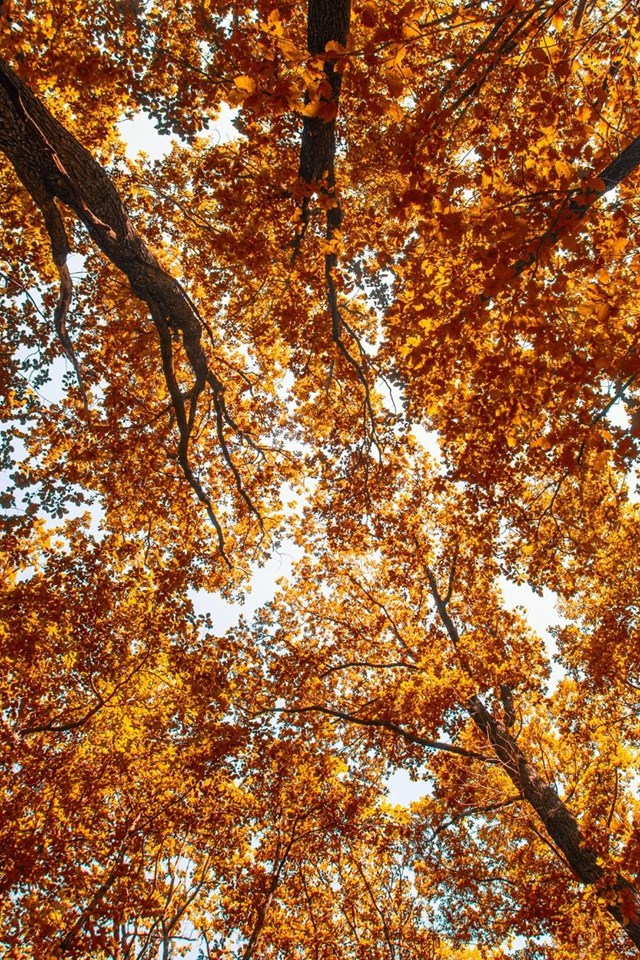 Ingenieros, consultores y topógrafos en Lugo