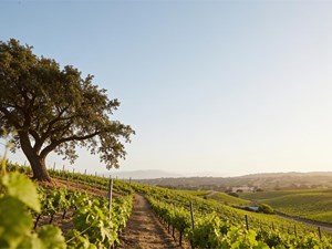 ¿No sabes de quién es una finca? Cómo funciona la investigación de titularidad
