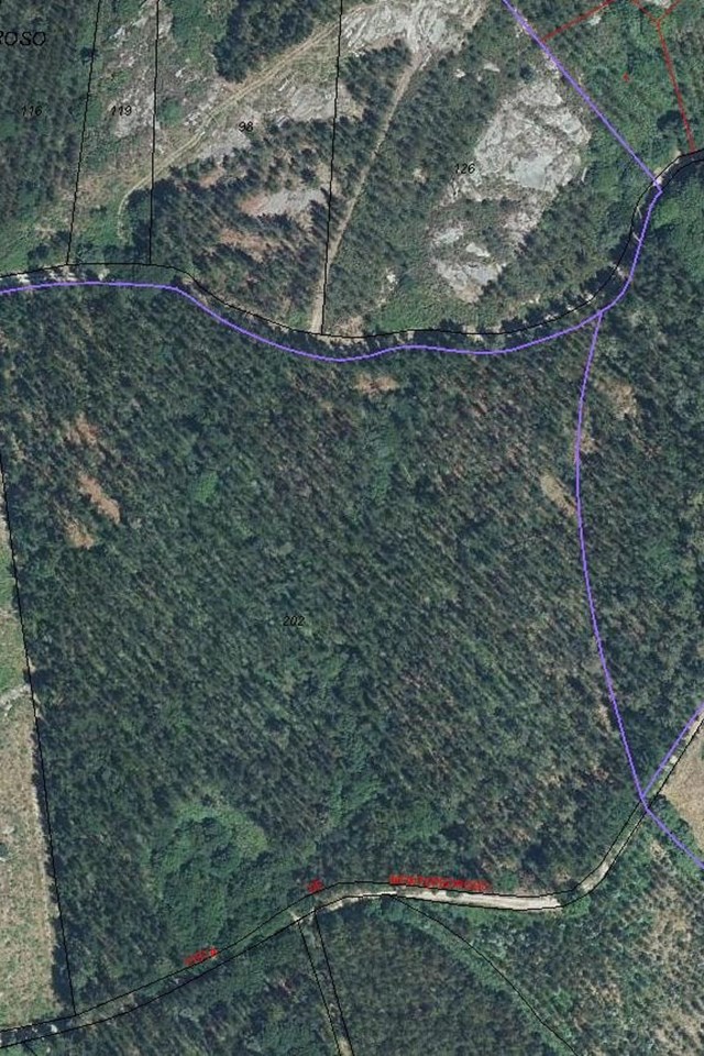 Ofrecemos servicios catastrales