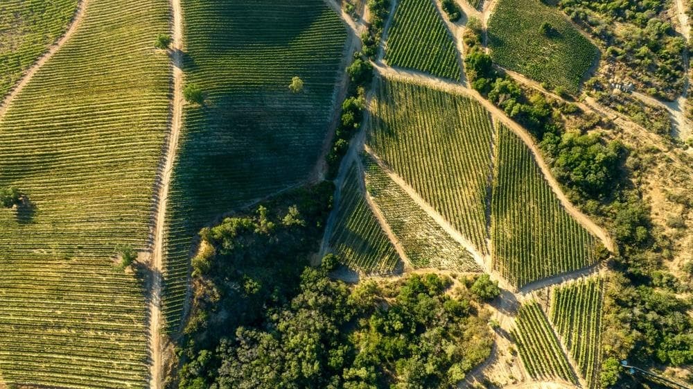 Repartición de herencias: conoce las medidas exactas de tus fincas